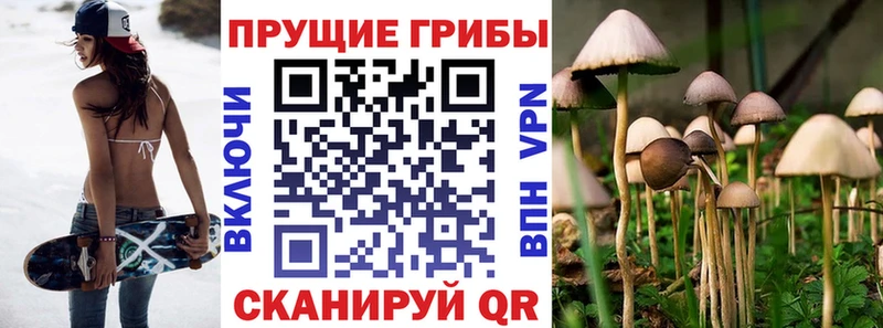 Галлюциногенные грибы Magic Shrooms  купить наркотики сайты  Людиново 